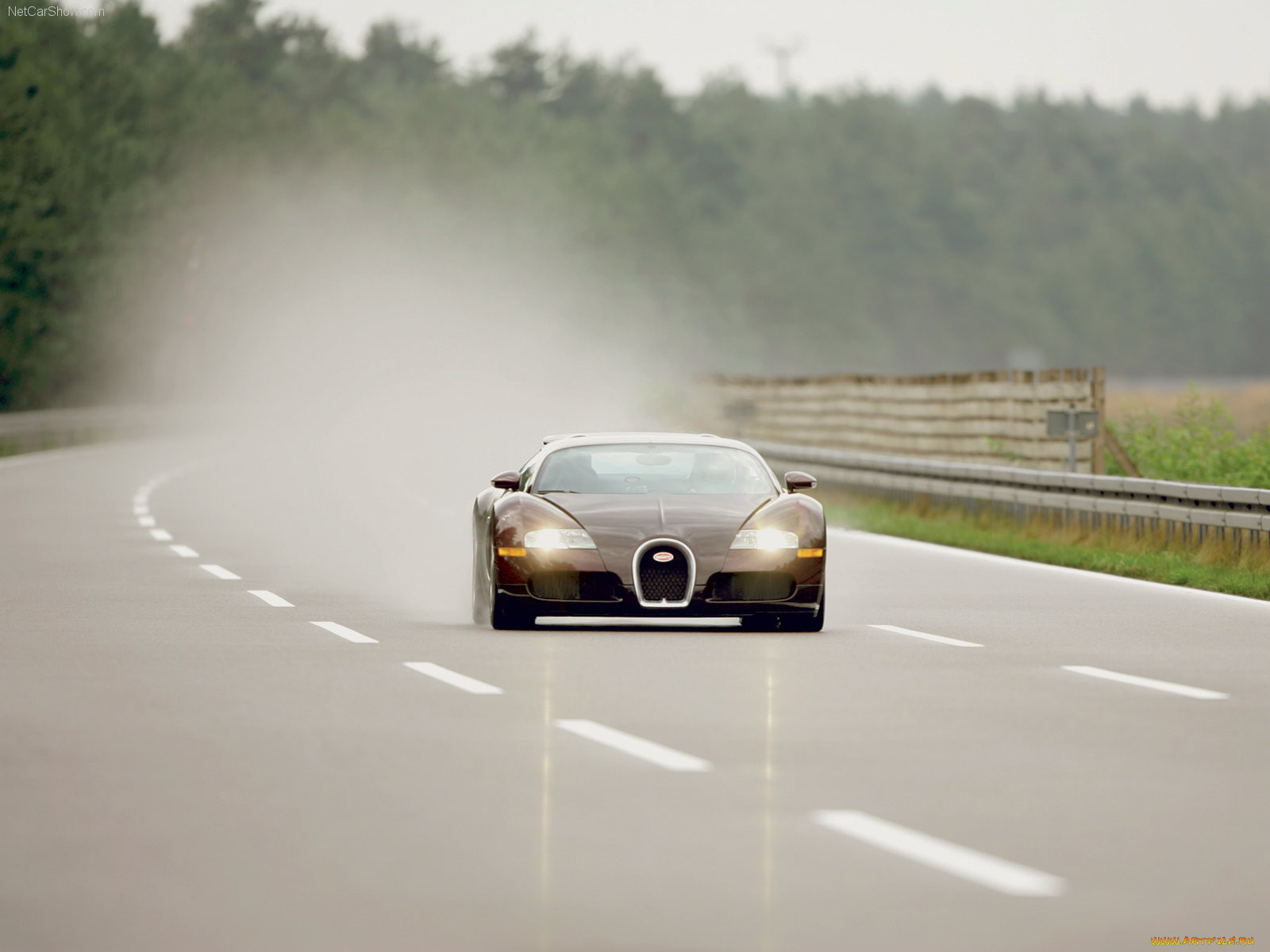 bugatti, veyron, 2005, 